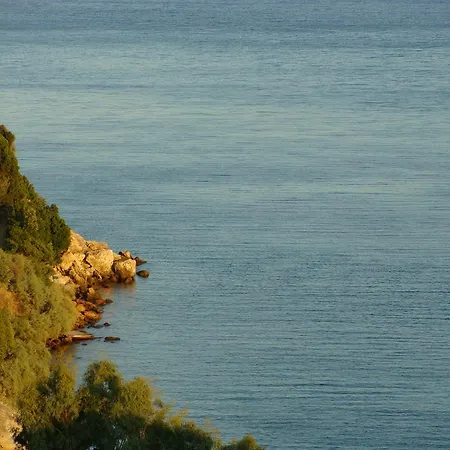 Πανσιόν Rodon
